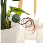 Automatic Plant Watering System - Creative Gardening Tool