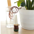 Automatic Plant Watering System - Creative Gardening Tool